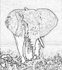 Слоны :: slon_5